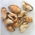 Delicious and superior no pesticide residue frozen cooked mussel